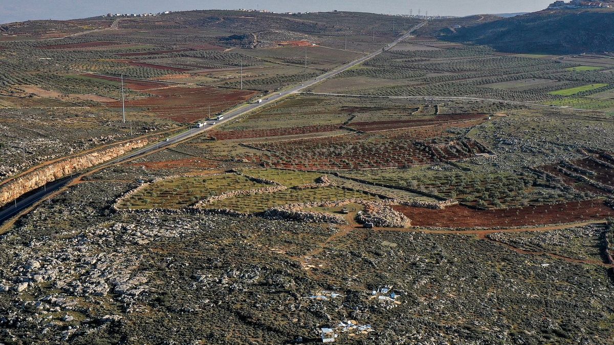 Fotky: Izraelští osadníci zničili 350 olivovníků. I tak vypadá terorismus